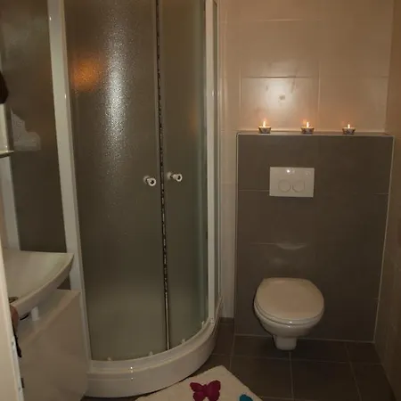 Apartment Svoboda *